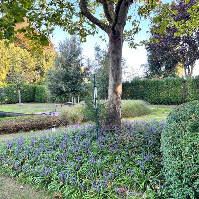 Te Huur - Pittoreske Herenwoning in Wortegem