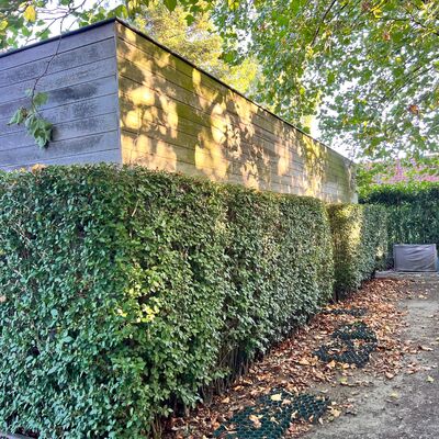Te Huur - Pittoreske Herenwoning in Wortegem