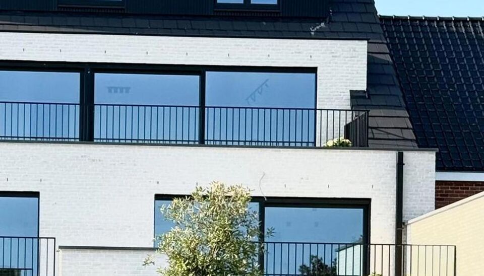 ASTER in Kruisem