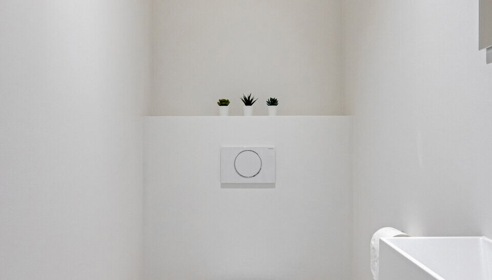 Postiljon in Kruisem