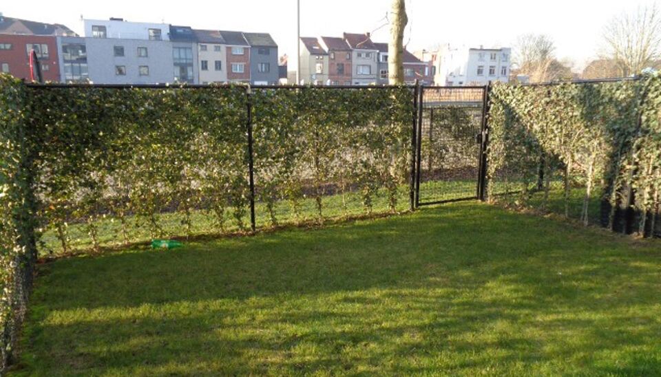 Appartement te huur in Gent