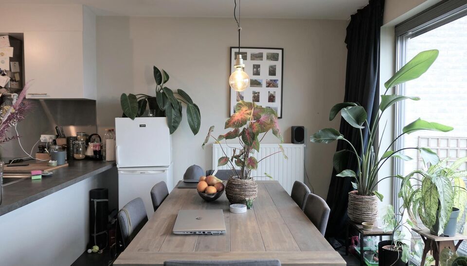 Appartement te huur in Gent Ledeberg