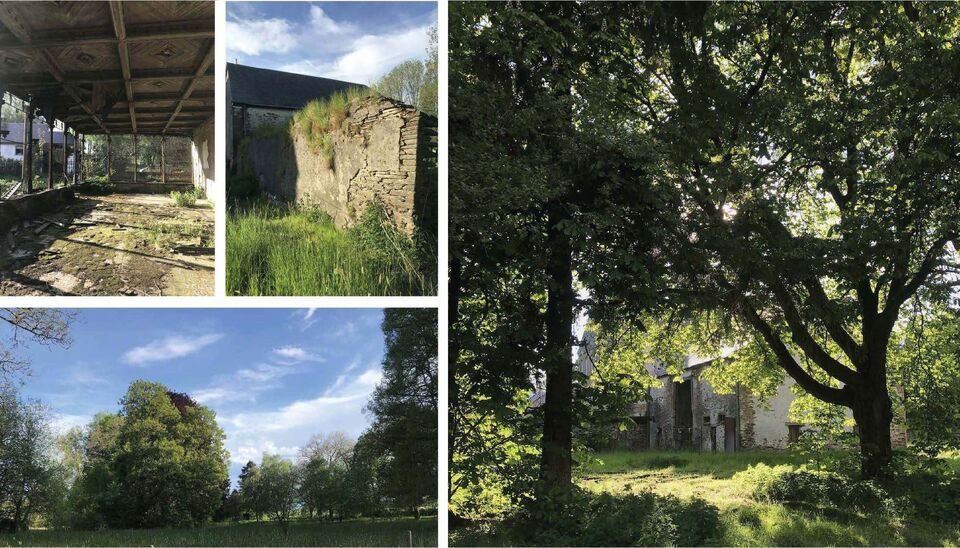 Kasteel te koop in Vaux-sur-Sûre